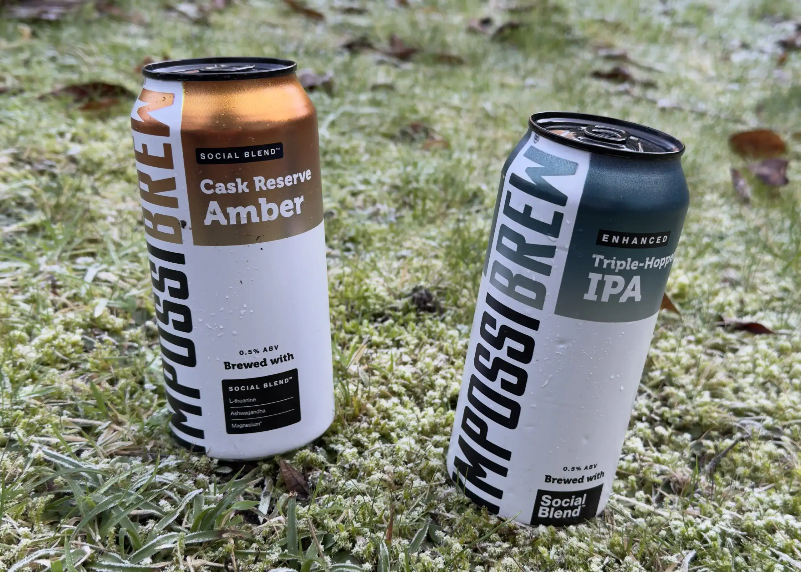 Life After Lager: Is Impossibrew The Holy Grail for the Sober?